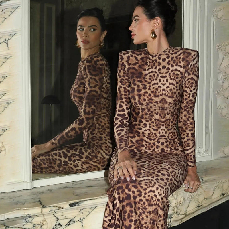 Serra Women’s Elegant Sexy Leopard Print round Neck Long Sleeve Slim Fit Sheath Dress